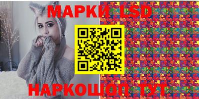 мет Кингисепп