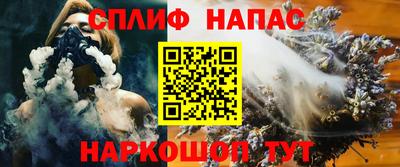 мет Кингисепп