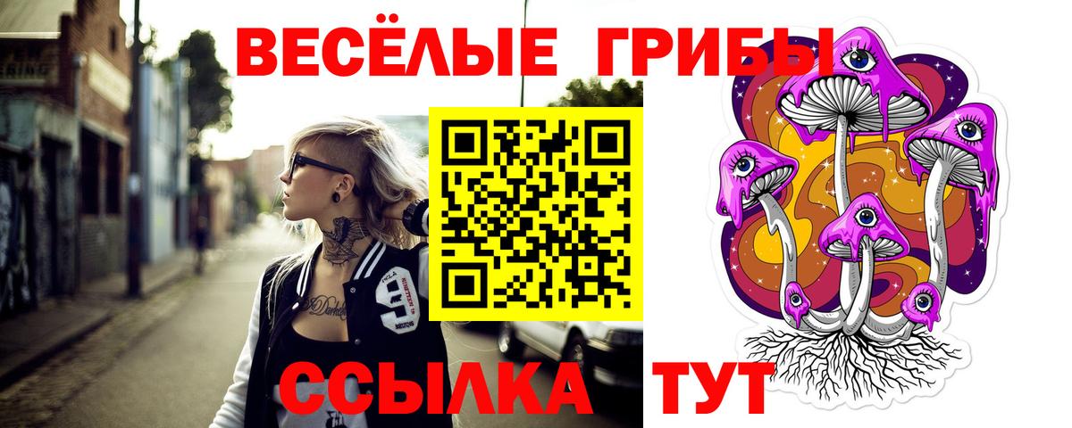 купить   Псилоцибиновые грибы GOLDEN TEACHER  Вход с VPN  Чусовой  Псилоцибиновые грибы Psilocybe 